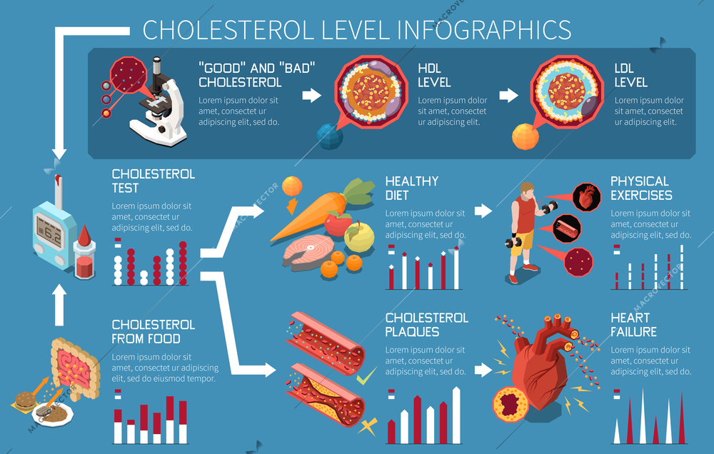 Cholesterol level infographics with blood test and healthy diet symbols vector illustration