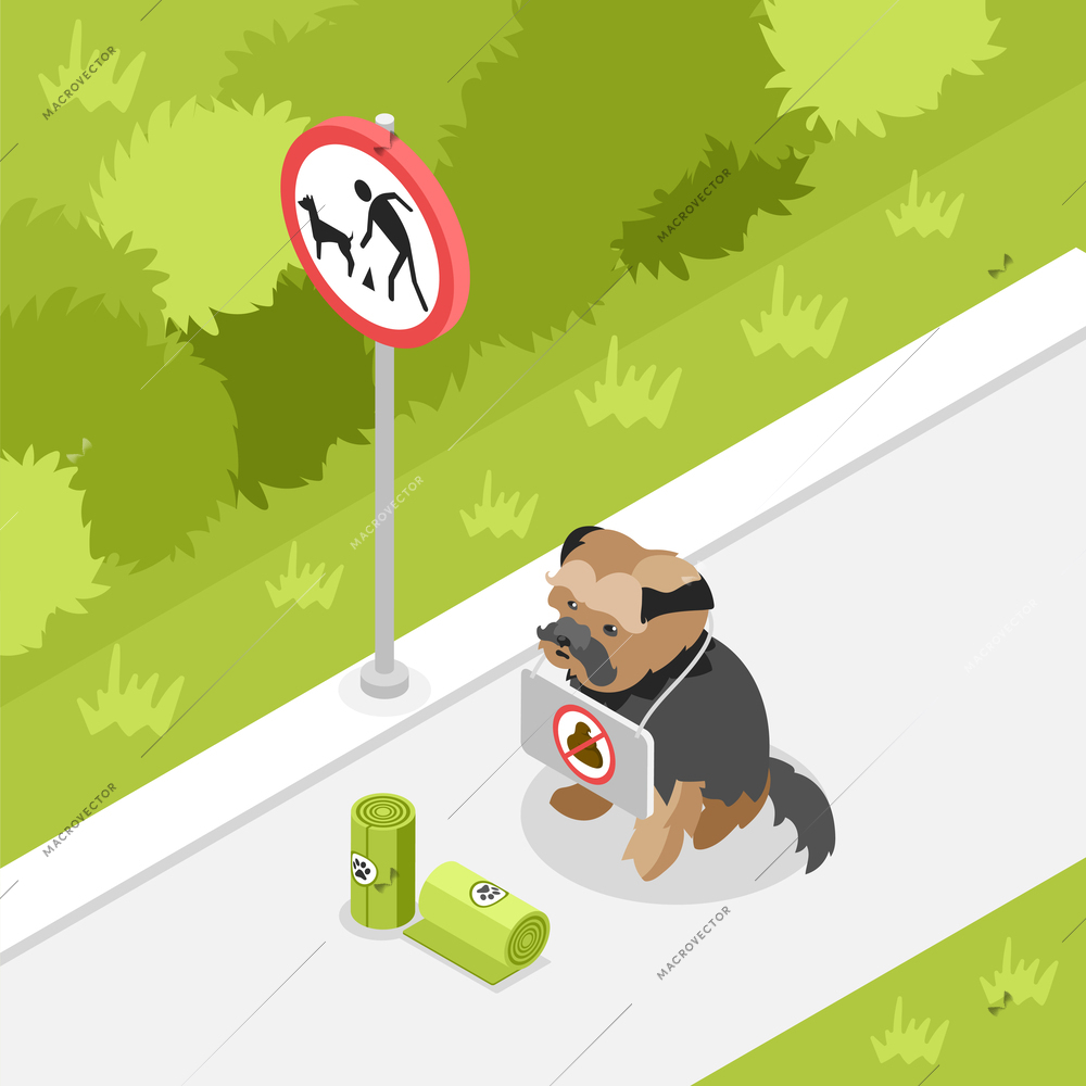 People clean after dogs isometric composition with puppy sitting in park with no poop sign vector illustration