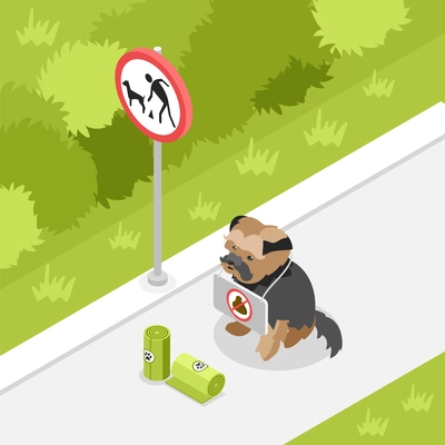 People clean after dogs isometric composition with puppy sitting in park with no poop sign vector illustration