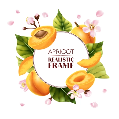 Realistic apricot frame composition with ornate text inside circle surrounded by apricot cuts leaves and flowers vector illustration