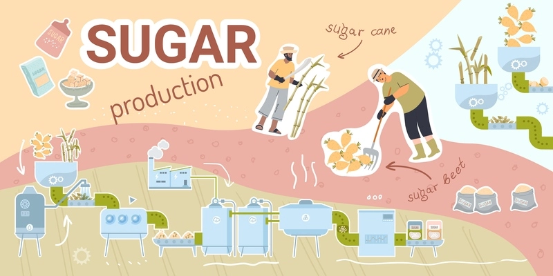 Sugar production composition with collage of flat icons with factory units beets canes and human characters vector illustration