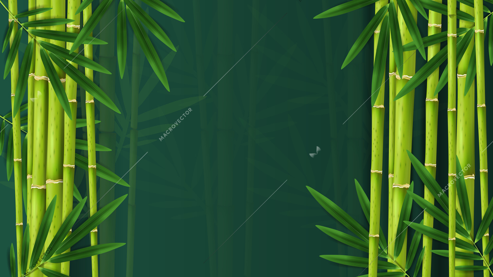 Branches tropical jungle bamboo composition with darkened rainforest background surrounded by images of exotic plants leaves vector illustration