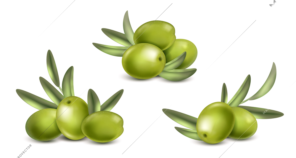 Realistic olive green set of isolated compositions with images of green berries and leaves with shadows vector illustration