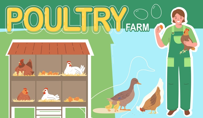 Poultry farm flat color collage with domestic birds nests and female worker holding hen and egg vector illustration