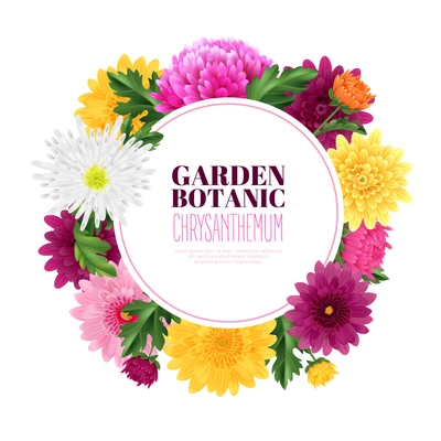Botanic garden frame with realistic chrysanthemum flowers vector illustration
