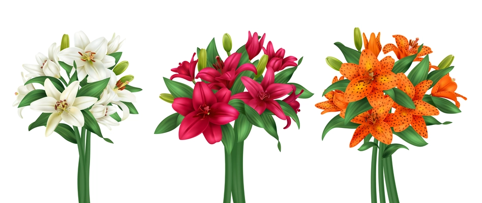 Realistic lily bouquet set with multicolored flowers isolated vector illustration