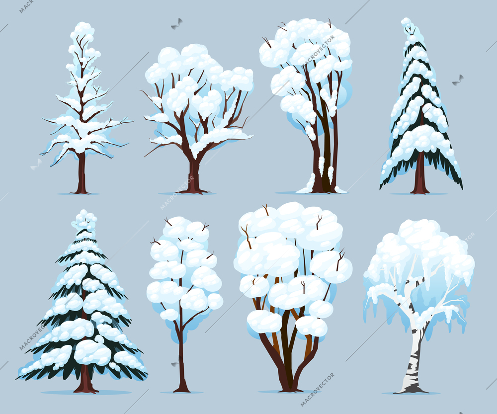 Deciduous and coniferous species trees with snow covered branches winter set at blue background isolated vector illustration