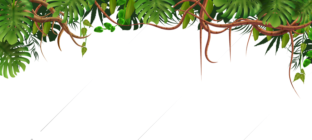 Branches tropical jungle composition with top frame of exotic leaves and vines with empty space below vector illustration