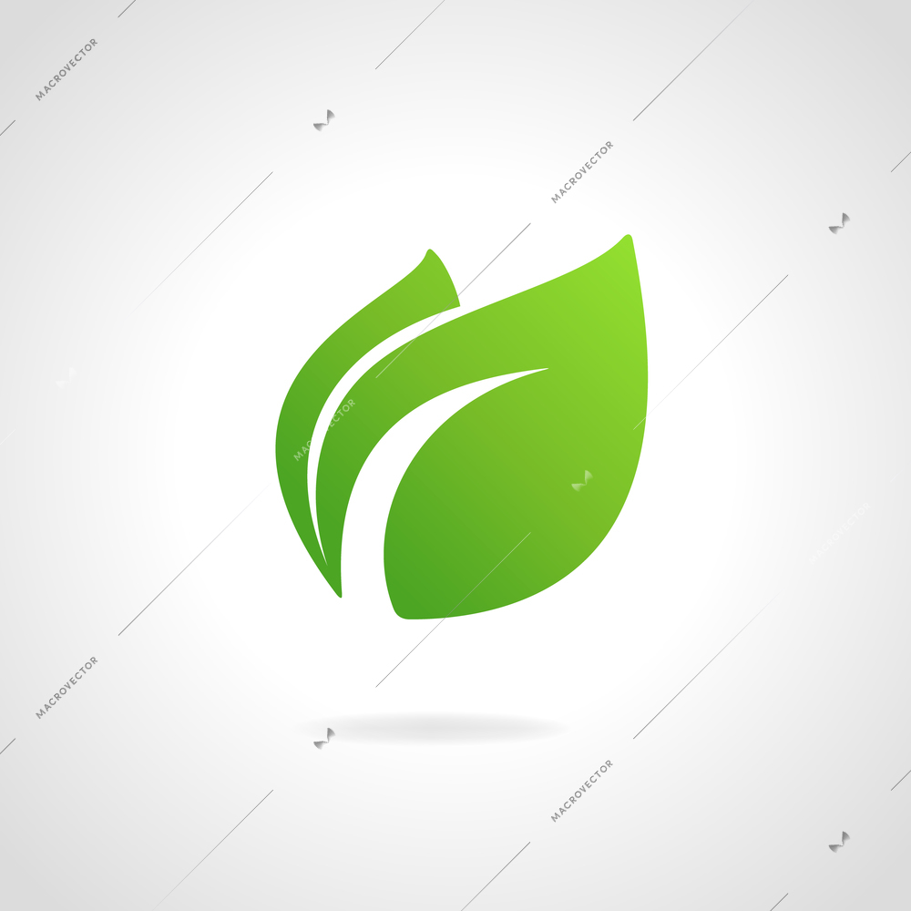 Eco icon green leaf vector illustration isolated