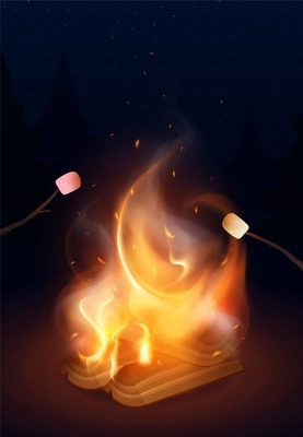 Realistic campfire with roasting marshmallows on sticks in background with night forest and starry sky vector illustration