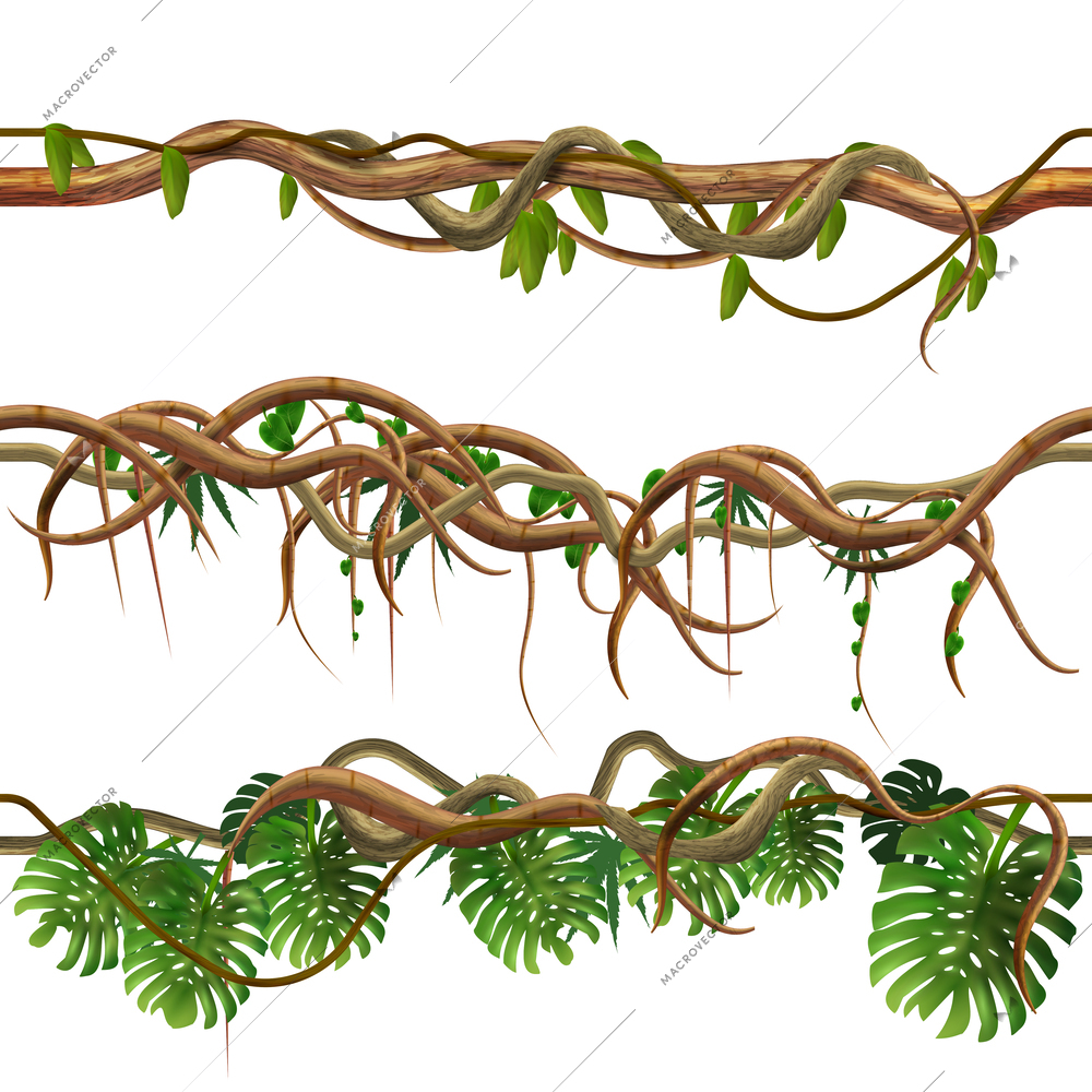 Branches tropical jungle seamless border set with isolated horizontal views of vines tree trunks and leaves vector illustration