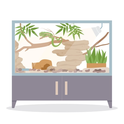 Exotic pets terrarium concept with iguana flat vector illustration