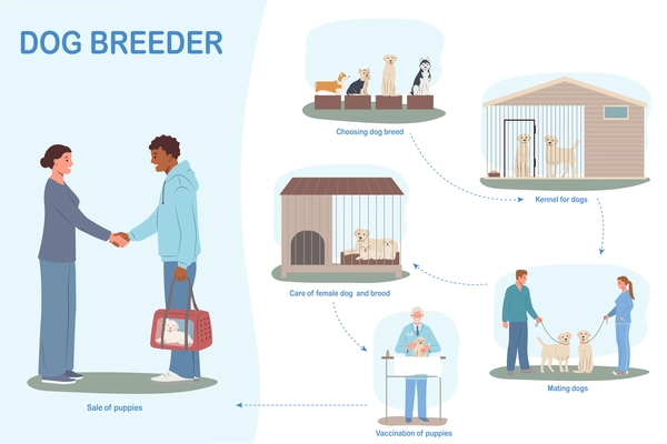 Dog breeder business flat infographics with set of isolated compositions with kennel mating vaccination and sale vector illustration