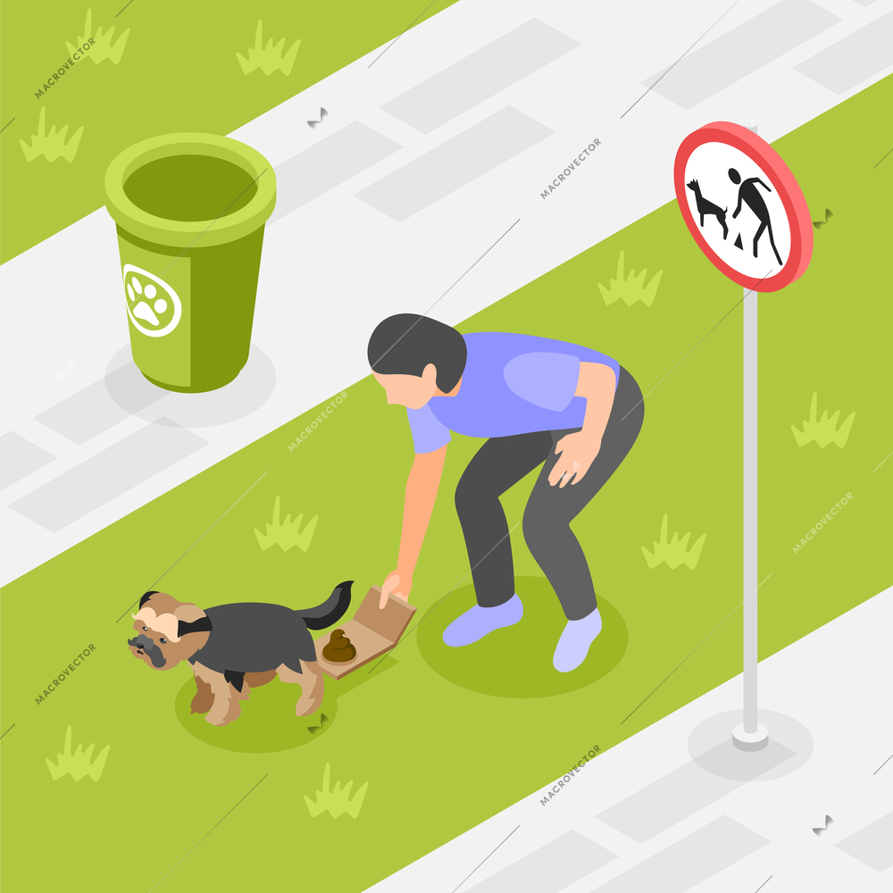 Clean up after you dog isometric composition with responsible puppy owner picking poop vector illustration