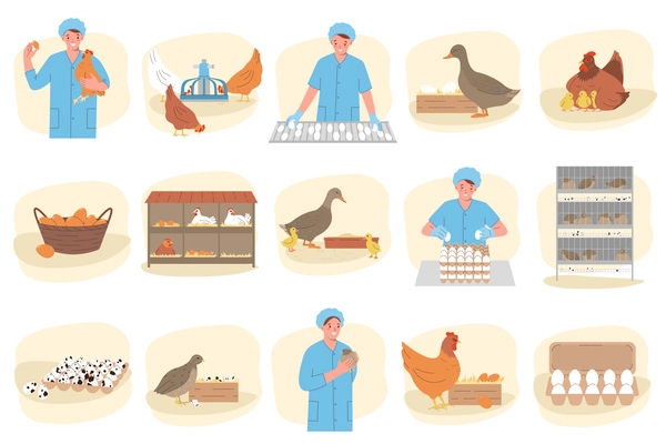 Poultry eggs production flat set with domestic birds and female factory worker isolated vector illustration