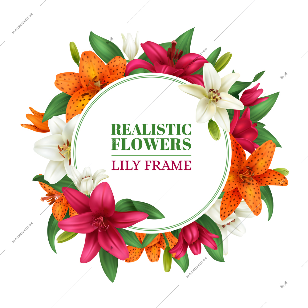 Realistic lily frame with colored flower composition vector illustration