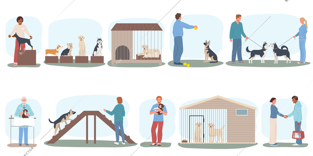 Dog breeder business flat set of isolated compositions with pets on podiums in cages at doctors vector illustration