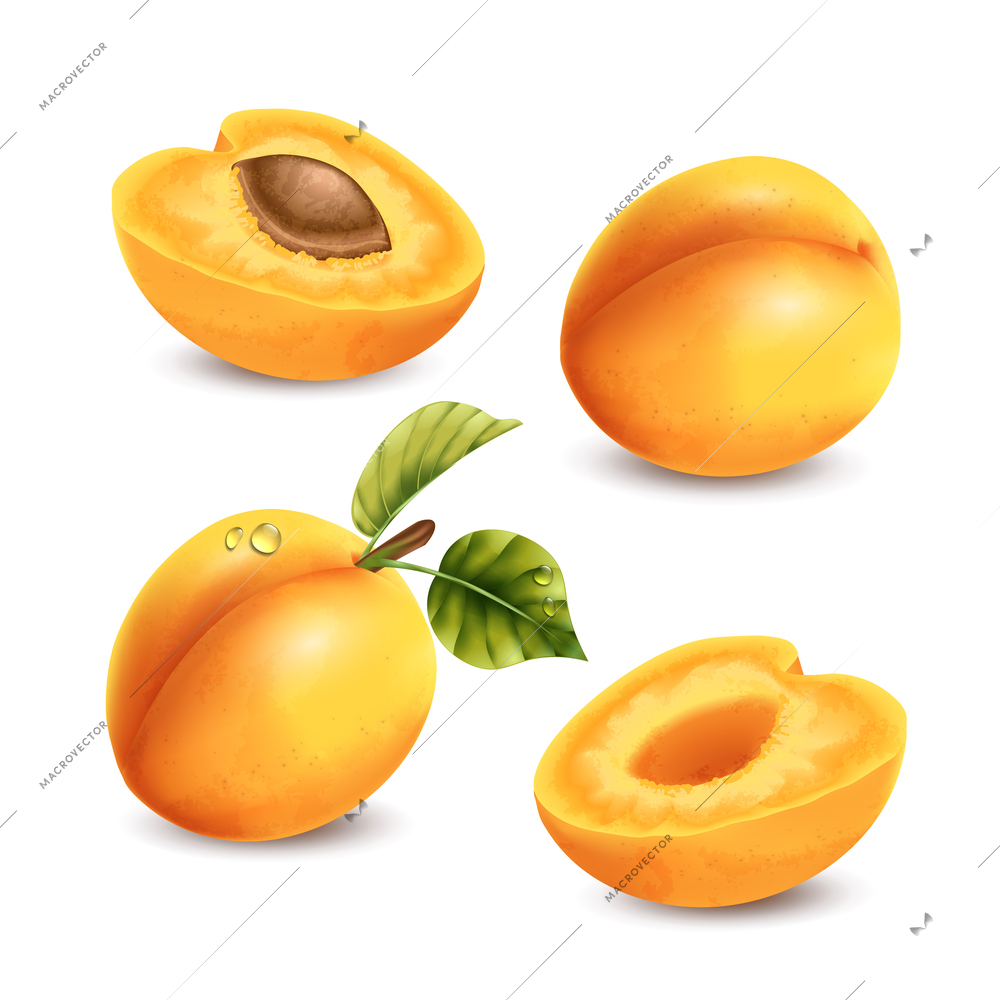 Realistic apricot set with isolated fruit images with water drops leaves and shadows on blank background vector illustration