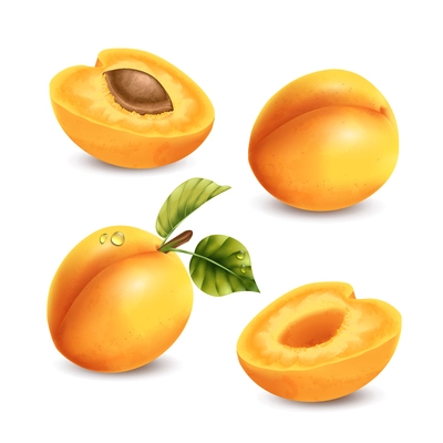 Realistic apricot set with isolated fruit images with water drops leaves and shadows on blank background vector illustration