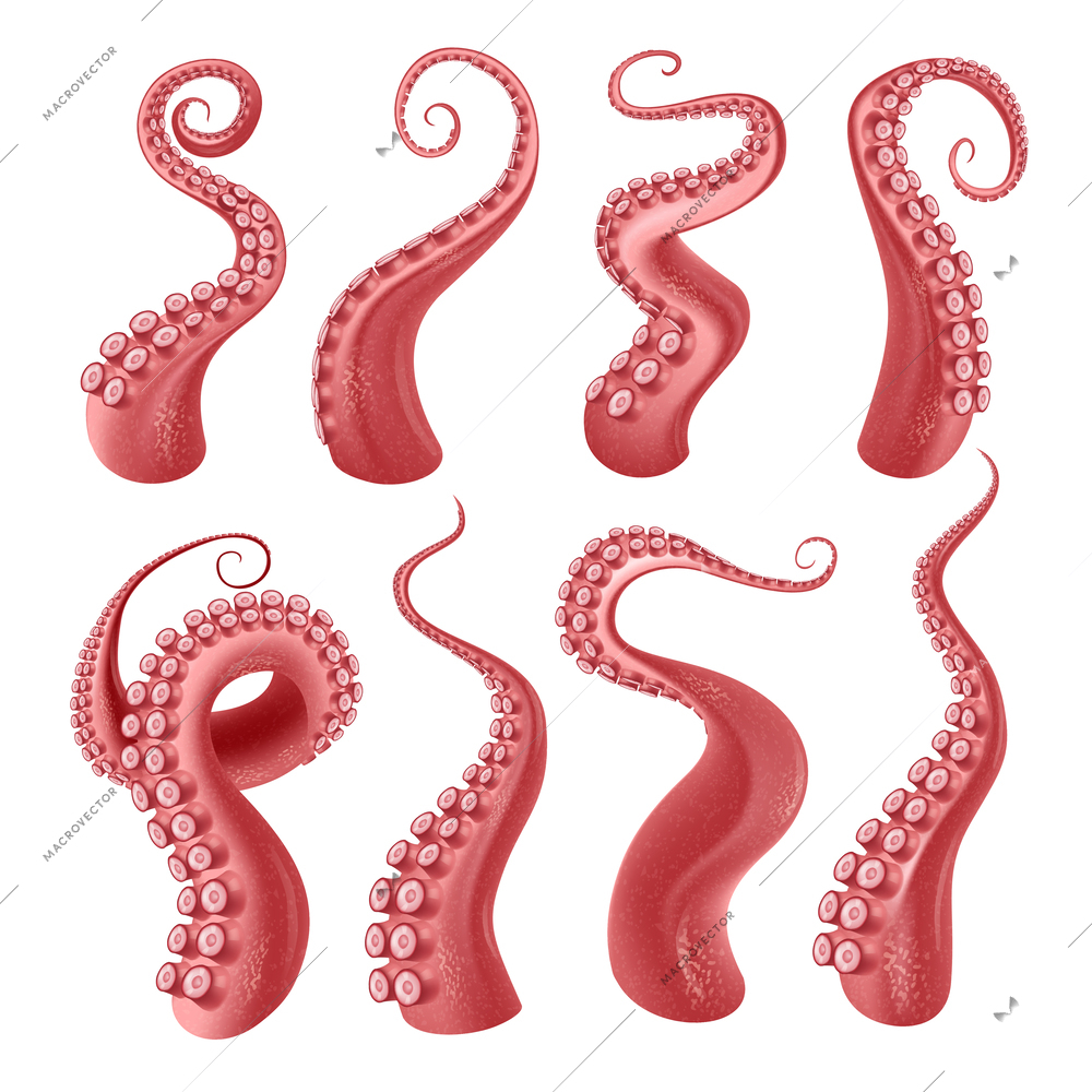 Red octopus or kraken tentacles with suckers realistic set isolated at white background vector illustration