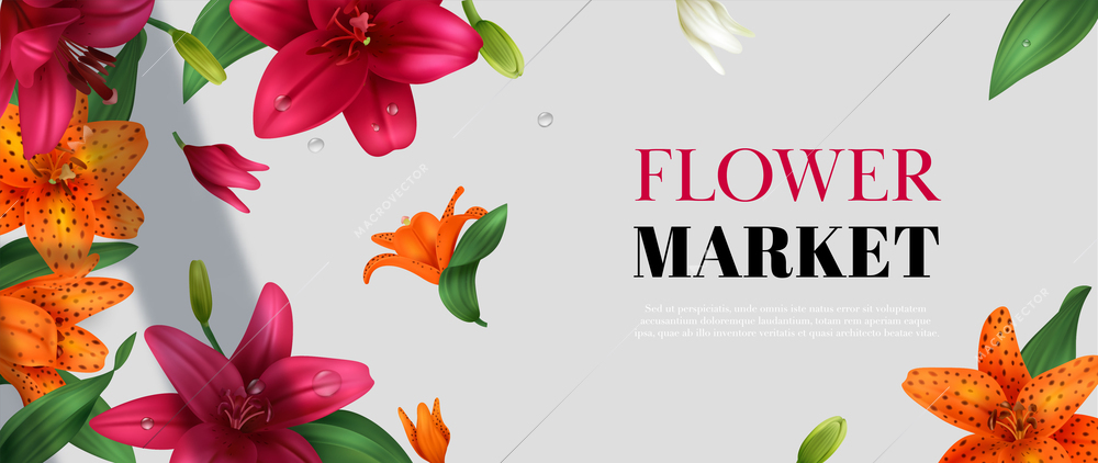 Realistic flower market poster with different colored lily blossoms vector illustration