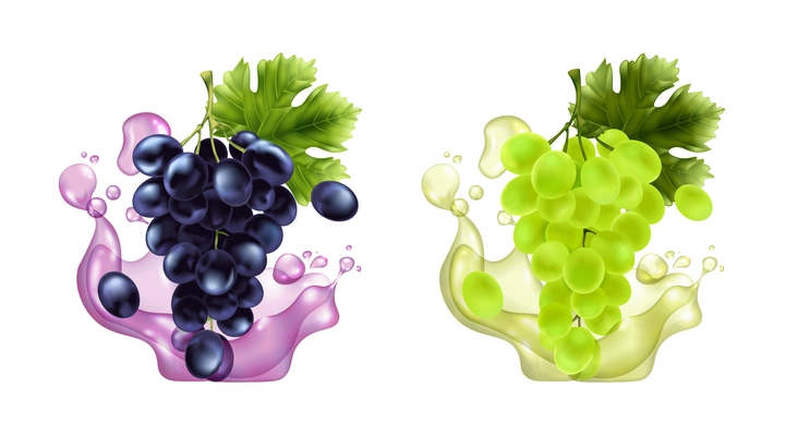 Realistic grape brunches icons set with juice splashes isolated vector illustration