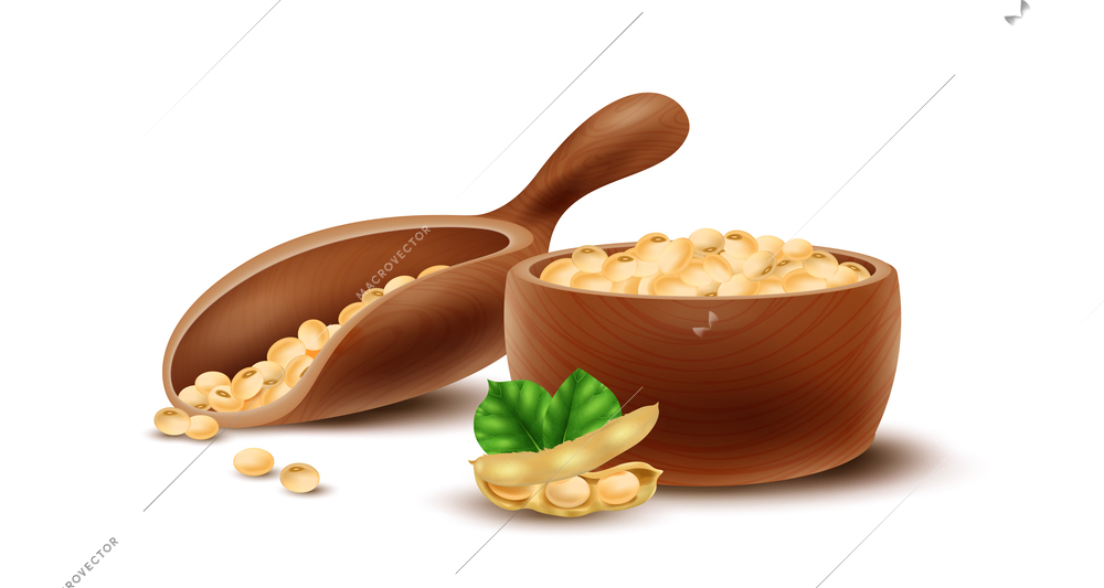 Realistic soybean composition with white soy beans in bowl vector illustration