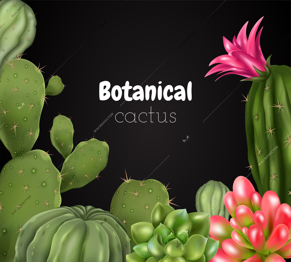 Realistic cactus composition with ornate chalkboard text surrounded by images of different species of cacti plant vector illustration