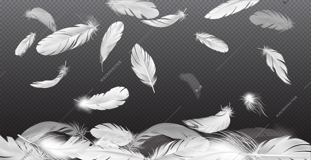 Realistic feathers falling composition with transparent background and falling white feathers with different transparency and shape vector illustration