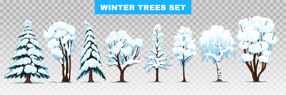 Winter trees of deciduous and coniferous species with snow covered branches transparent set vector illustration