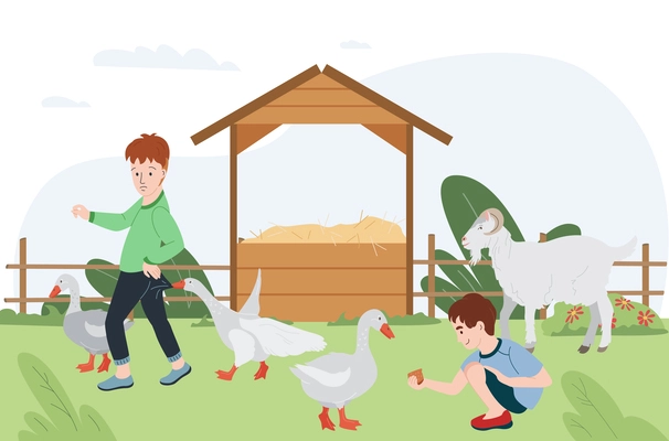 Two little boys feeding gooses in contact outdoors farm flat composition cartoon vector illustration