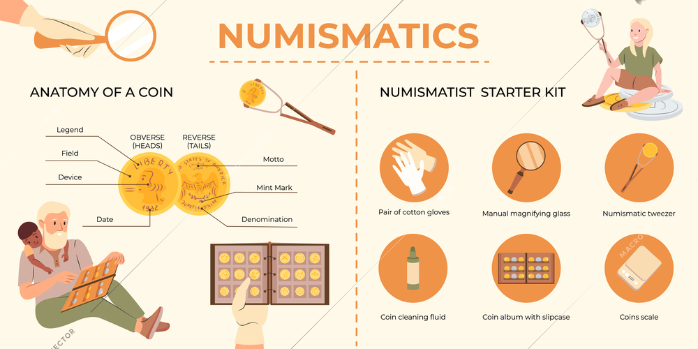 Numismatics flat infographic with coin anatomy and starter kit for numismatist vector illustration