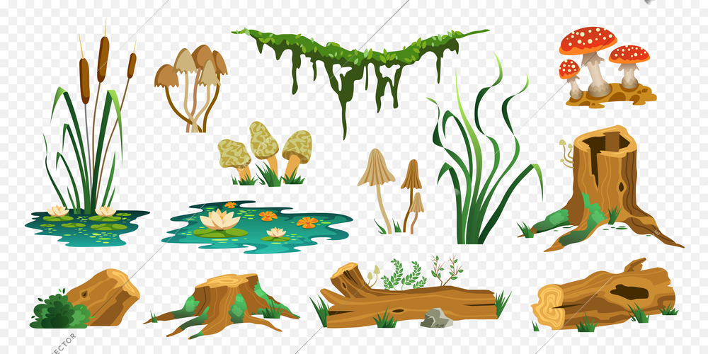 Swamp forest color set of isolated icons with wooden trunks stubs mushrooms moss and water plants vector illustration