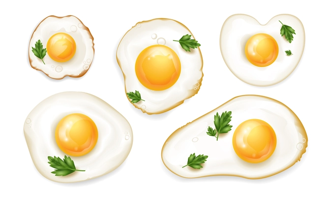 Fried chicken eggs of different shapes with fresh green herbs realistic set isolated vector illustration