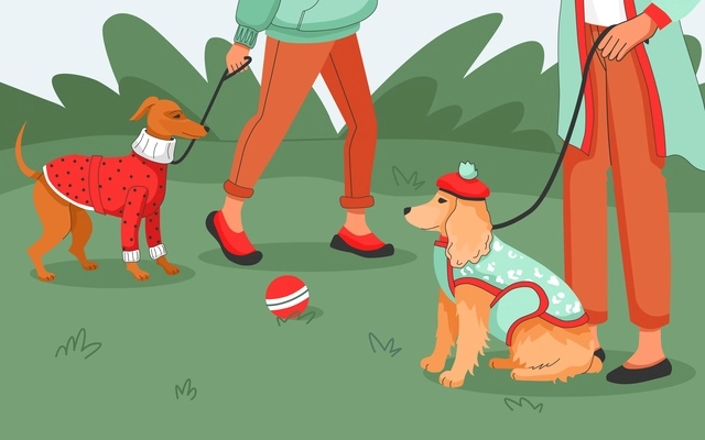 Dog clothes flat background with two owners walking with their pets outdoors vector illustration
