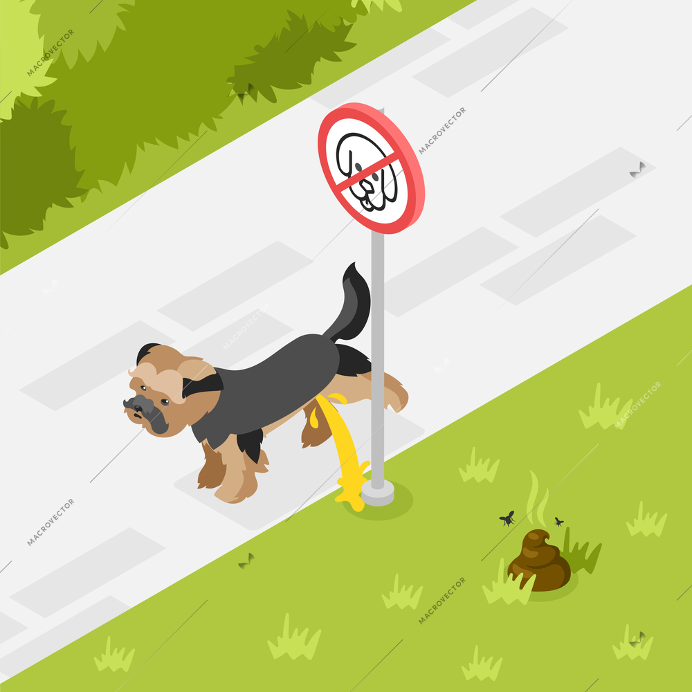 People clean up after dogs composition with poop on green lawn in park and puppy peeing on prohibition sign isometric vector illustration