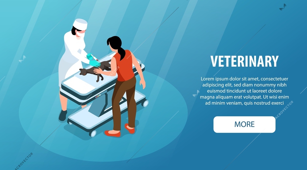 Vet clinic isometric horizontal website banner with veterinary giving injection to cat vector illustration