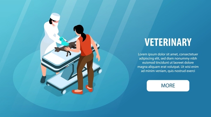 Vet clinic isometric horizontal website banner with veterinary giving injection to cat vector illustration