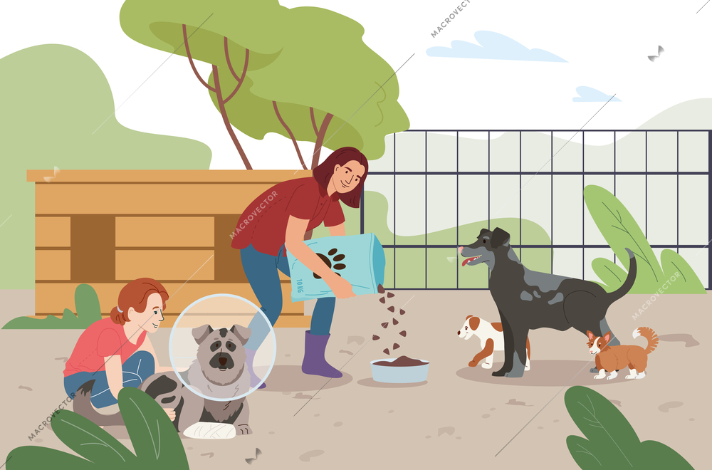 Animal activists flat composition with outdoor scenery and female characters feeding dogs taking care of pets vector illustration