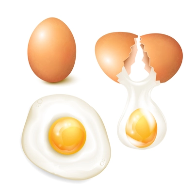 Realistic chicken eggs set with cracked and fried isolated on white background vector illustration