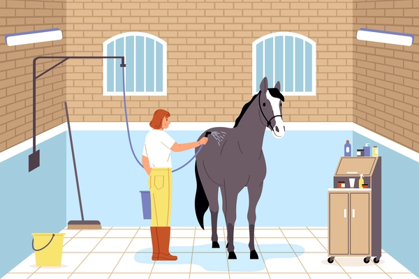 Horse and people flat composition demonstrating female worker taking care of steed washing with shower vector illustration