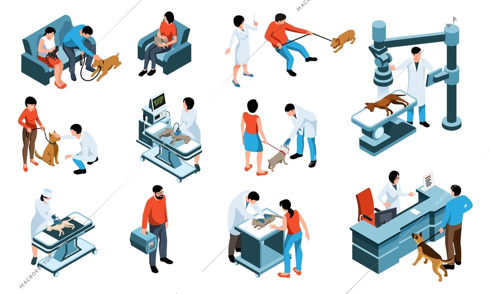 Veterinary isometric icons set with owners with their pets and vets examining cats and dogs isolated vector illustration