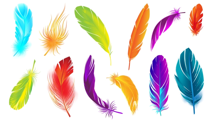 Realistic feathers color set with isolated images of bird feather of different color on blank background vector illustration