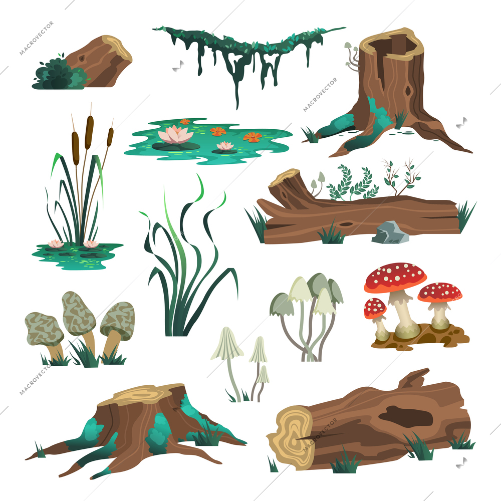 Set of isolated wild forest images with moss logs mushrooms and swamp elements on blank background vector illustration