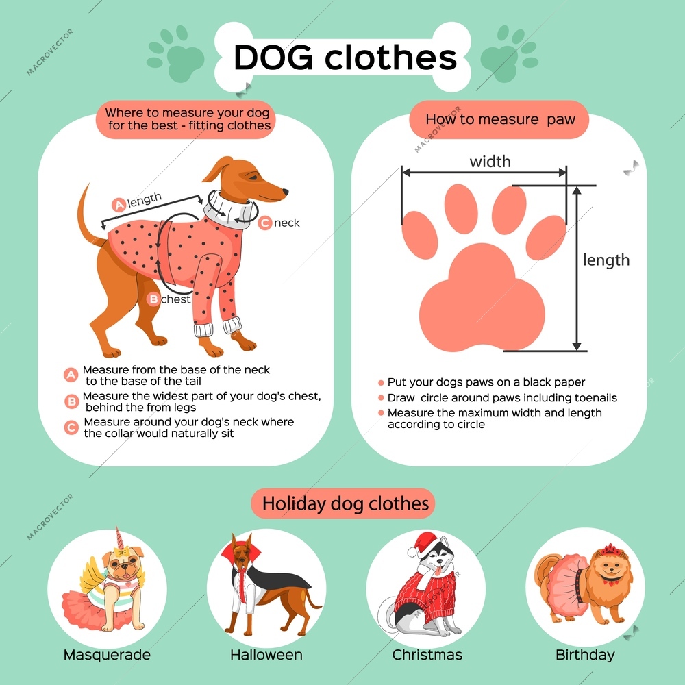 Dog clothes flat infographics demonstrating how to measure pet and holiday apparel cartoon vector illustration