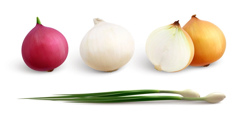 Onion realistic set with isolated whole onions cut to halves and sprouts of green bunching onion vector illustration