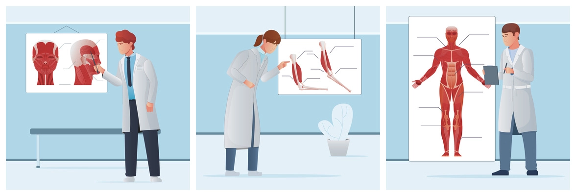 Set of three square compositions with doodle characters of medical students learning different types of mussels vector illustration