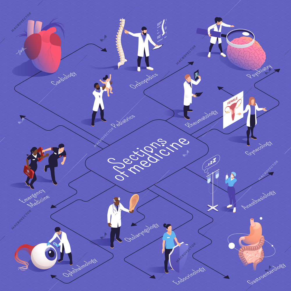 Sections of medicine isometric flowchart with cardiology pediatrics emergency medicine orthopedics psychiatry gynecology and other descriptions vector illustration