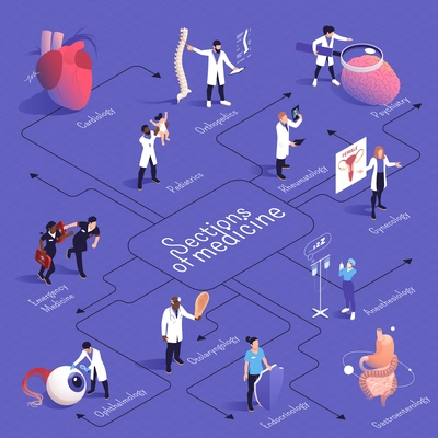 Sections of medicine isometric flowchart with cardiology pediatrics emergency medicine orthopedics psychiatry gynecology and other descriptions vector illustration