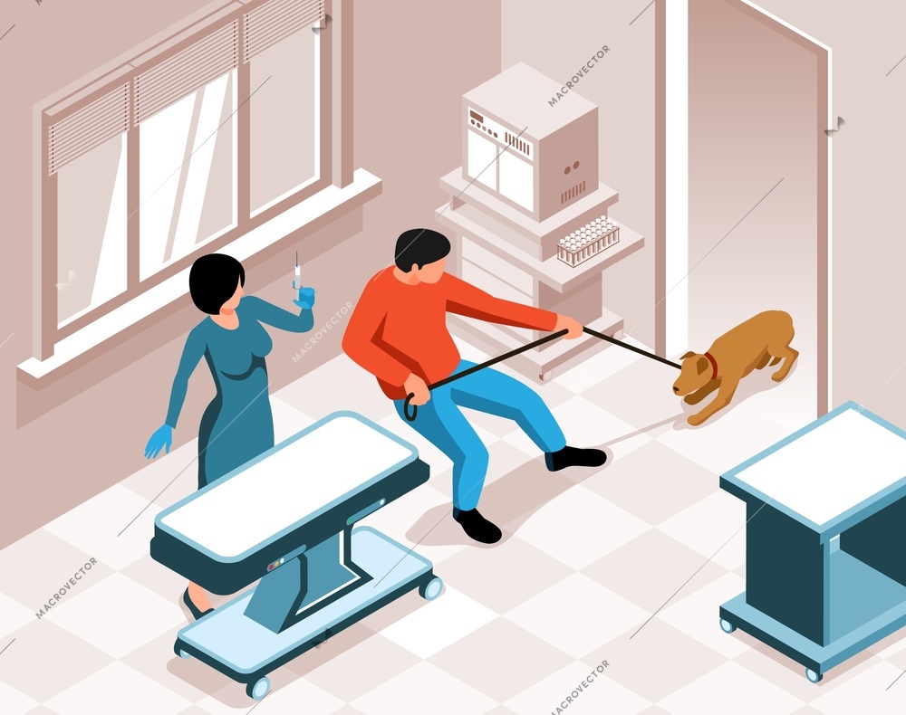 Veterinary clinic with female doctor holding syringe and dog pulling on leash afraid of getting injection isometric vector illustration